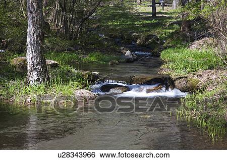 Mountain Stream View Large Photo Image Stock Photograph - Mountain Stream . Fotosearch