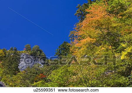 Mt. Hakusan in autumn, Ishikawa Prefecture, Honshu, Japan View Large Photo Image Stock Image - Mt. Hakusan in autumn, Ishikawa Prefecture, Honshu, Japan. Fotosearch