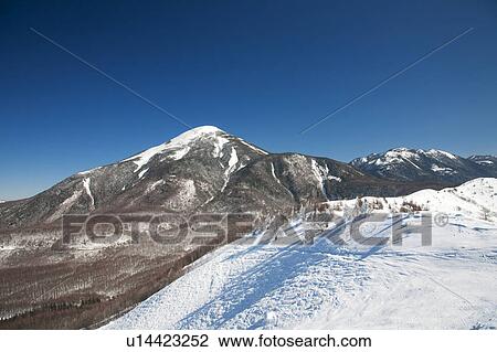 Stock Image - Mt. Tateshina, Nagano Prefecture, Honshu, Japan. Fotosearch