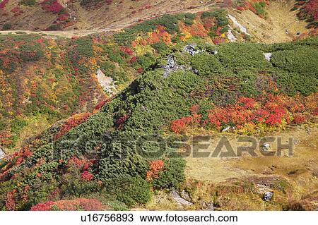 Mt. Tateyama in autumn, high angle view, Toyama Prefecture, Honshu, Japan View Large Photo Image Stock Image - Mt. Tateyama in autumn, high angle view, Toyama Prefecture, Honshu, Japan. Fotosearch
