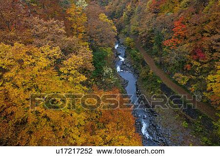 Stock Image - Nakatsugawa Valley in Autumn. Fotosearch