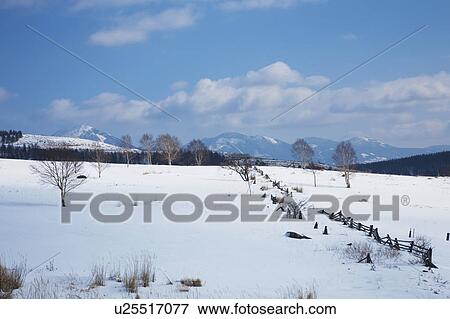 Odoriba swamp in winter, Nagano Prefecture, Honshu, Japan View Large Photo Image Stock Photo - Odoriba swamp in winter, Nagano Prefecture, Honshu, Japan. Fotosearch
