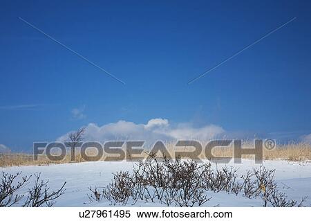 Stock Photography - Odoriba swamp in winter, Nagano Prefecture, Honshu, Japan. Fotosearch