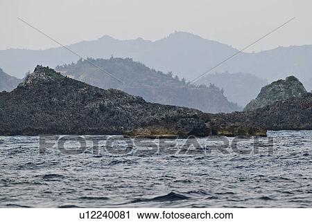 Stock Image - Ogawawara Islands. Fotosearch