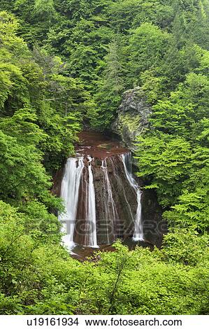 Picture - Ohtaki waterfall, Nagano Prefecture, Honshu, Japan. Fotosearch