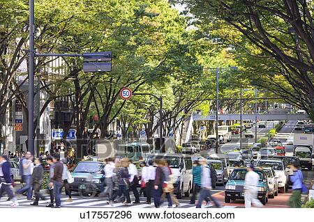 Omotesando, Shibuya Ward, Tokyo Prefecture, Honshu, Japan View Large Photo Image Stock Photograph - Omotesando, Shibuya Ward, Tokyo Prefecture, Honshu, Japan. Fotosearch