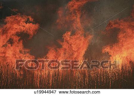 Stock Photo - Open Burning. Fotosearch