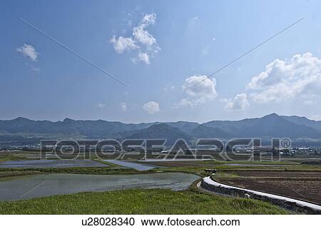 Paddy Field Near Mountain Range View Large Photo Image Stock Image - Paddy Field Near Mountain Range. Fotosearch