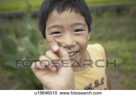 Portrait of boy holding insect, smiling View Large Photo Image Stock Image - Portrait of boy holding insect, smiling. Fotosearch