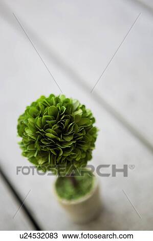 Potted Plant View Large Photo Image Stock Image - Potted Plant. Fotosearch