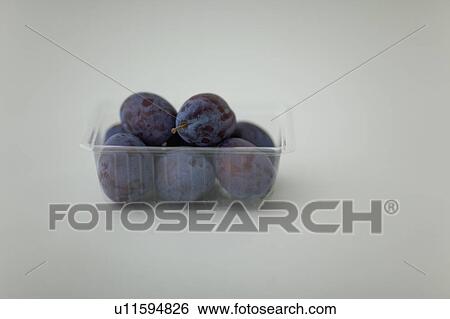 Punnet of Plums View Large Photo Image Stock Photograph - Punnet of Plums. Fotosearch