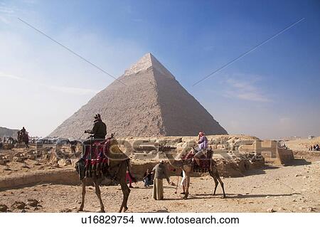 Picture - Pyramids and camels, Giza, Egypt. Fotosearch