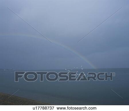 Stock Photo - Rainbow Over the Sea Horizon. Fotosearch