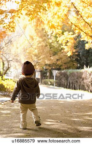Stock Photo - Rear View of Little Boy Walking in Park in Autumn. Fotosearch