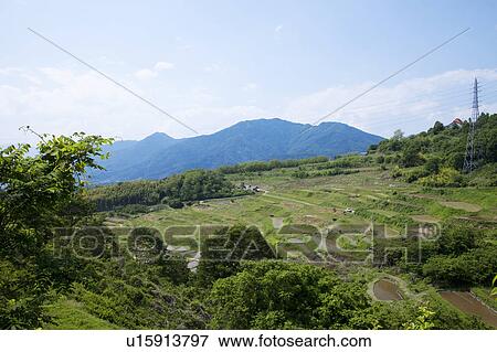 Stock Photo - Rice Terrace at Inagura, Nagano Prefecture, Honshu, Japan. Fotosearch
