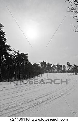 Stock Photograph - Road covered in snow, Fukushima Prefecture, Honshu, Japan. Fotosearch