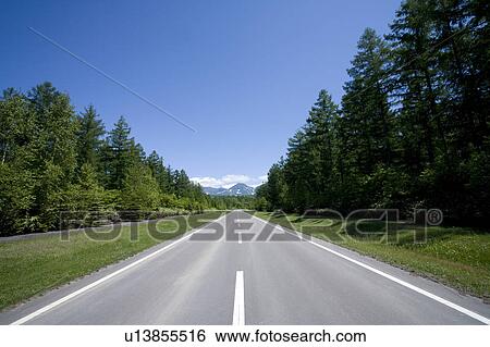 Road in forest, Hokkaido Prefecture, Japan View Large Photo Image Stock Photograph - Road in forest, Hokkaido Prefecture, Japan. Fotosearch