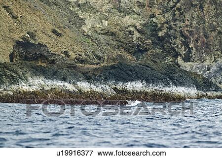 Stock Photo - Rocky Coast. Fotosearch