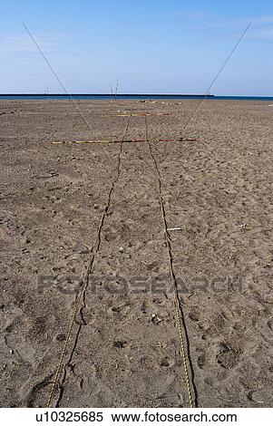 Stock Photography - Ropes Laying on Sandy Beach. Fotosearch