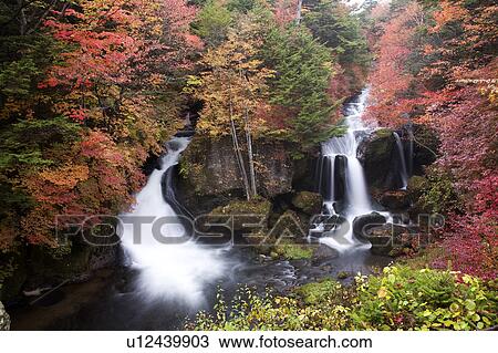 Ryuuzu Waterfall in autumn, Tochigi Prefecture, Honshu, Japan View Large Photo Image Stock Image - Ryuuzu Waterfall in autumn, Tochigi Prefecture, Honshu, Japan. Fotosearch