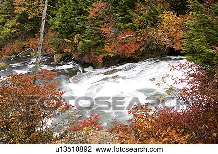 Stock Image - Ryuuzu Waterfall in autumn, Tochigi Prefecture, Honshu, Japan. Fotosearch