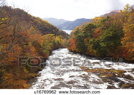 Stock Image - Ryuuzu Waterfall in autumn, Tochigi Prefecture, Honshu, Japan. Fotosearch