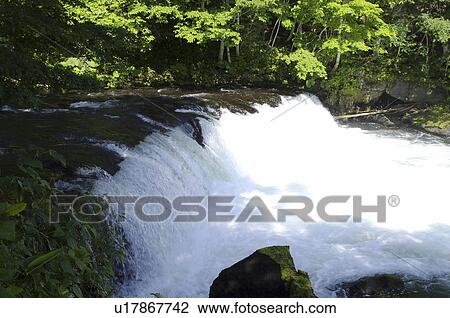 Sakurano Fall, Kiyosato town, Hokkaido prefecture, Japan View Large Photo Image Stock Image - Sakurano Fall, Kiyosato town, Hokkaido prefecture, Japan. Fotosearch