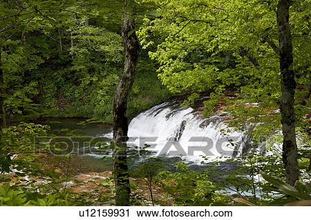 Stock Image - Sandan-no-taki waterfall at Zakko river gorge, Nagano Prefecture, Honshu, Japan. Fotosearch