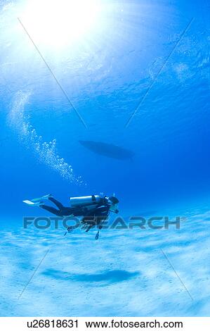 Scuba diver underwater near boat View Large Photo Image Stock Image - Scuba diver underwater near boat. Fotosearch