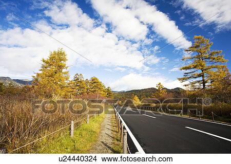 Senjo-ga-hara and road in autumn, Tochigi Prefecture, Honshu, Japan View Large Photo Image Picture - Senjo-ga-hara and road in autumn, Tochigi Prefecture, Honshu, Japan. Fotosearch