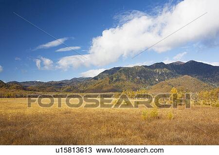 Stock Image - Senjo-ga-hara in autumn, Tochigi Prefecture, Honshu, Japan. Fotosearch
