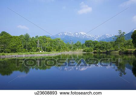 Shimizugaike pond and Mt. Hiuchi, Niigata Prefecture, Honshu, Japan View Large Photo Image Stock Image - Shimizugaike pond and Mt. Hiuchi, Niigata Prefecture, Honshu, Japan. Fotosearch