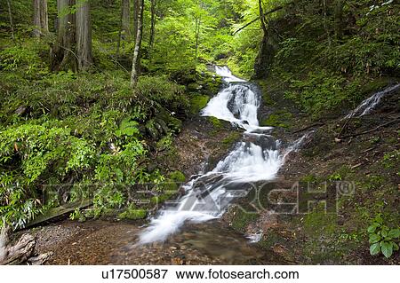 Stock Photo - Shin-taki waterfall, Nagano Prefecture, Honshu, Japan. Fotosearch