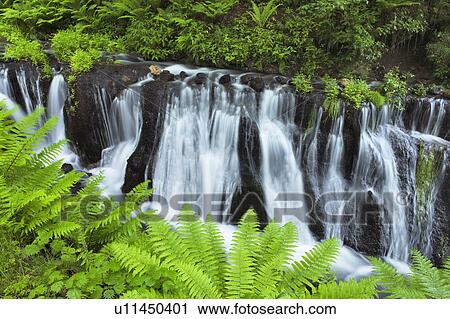 Stock Image - Shiraito waterfall, Nagano Prefecture, Honshu, Japan. Fotosearch