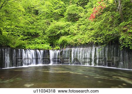 Stock Photo - Shiraito waterfall, Nagano Prefecture, Honshu, Japan. Fotosearch