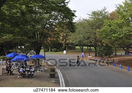 Picture - Showa Memorial Park ( Showa Commemorative National Government Park), Tokyo Prefecture, Honshu, Japan. Fotosearch