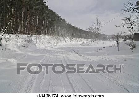 Snow Drifting Over Rural Road Near Forest View Large Photo Image Picture - Snow Drifting Over Rural Road Near Forest. Fotosearch