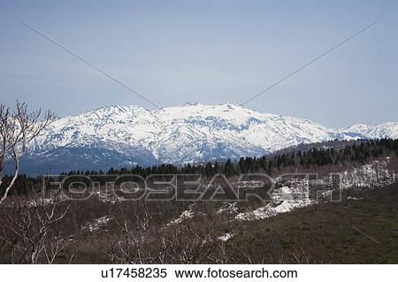 Stock Photography - Snowcapped Mountains and Forest. Fotosearch