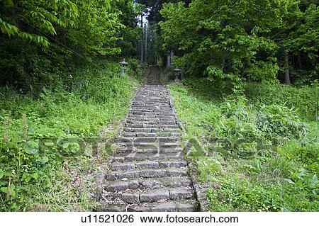Stone Steps in the Mountain Forest View Large Photo Image Stock Photograph - Stone Steps in the Mountain Forest. Fotosearch