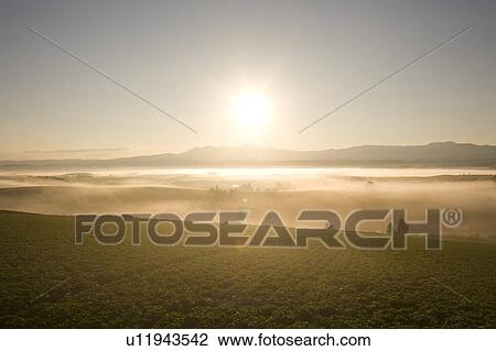 Sunrise, Hokkaido Prefecture, Japan View Large Photo Image Stock Image - Sunrise, Hokkaido Prefecture, Japan. Fotosearch