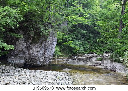 Stock Image - Tamagawa gorge, Fukushima Prefecture, Honshu, Japan. Fotosearch