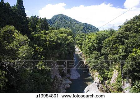 Stock Image - Tedori Gorge, Ishikawa Prefecture, Honshu, Japan. Fotosearch