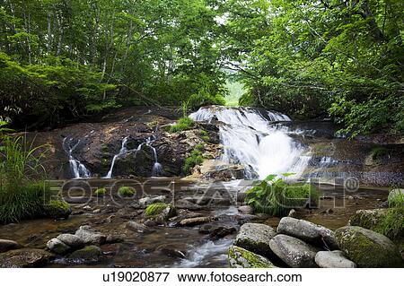 Stock Photo - Tohachi-no-taki waterfall, Fukushima Prefecture, Honshu, Japan. Fotosearch