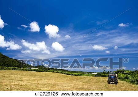 Stock Photograph - Tractor in a field, Okinawa Prefecture, Japan. Fotosearch