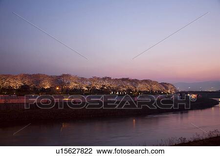 Treelined Asuwa river at dusk, Fukui Prefecture, Honshu, Japan View Large Photo Image Stock Image - Treelined Asuwa river at dusk, Fukui Prefecture, Honshu, Japan. Fotosearch