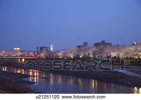 Stock Image - Treelined Asuwa river at night, Fukui Prefecture, Honshu, Japan. Fotosearch
