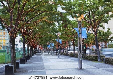 Treelined sidewalk in Harbor land at dusk, Kobe City, Hyogo Prefecture, Honshu, Japan View Large Photo Image Stock Image - Treelined sidewalk in Harbor land at dusk, Kobe City, Hyogo Prefecture, Honshu, Japan. Fotosearch