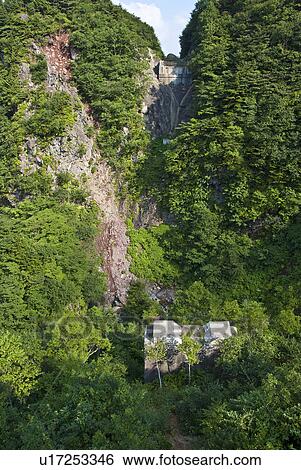 Stock Photograph - Trees Growing on Cliffs. Fotosearch