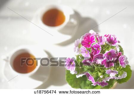 Picture - Two cup of teas and potted lowers. Fotosearch