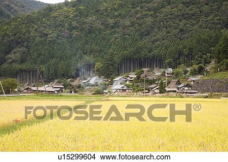 Picture - Village of thatched roof houses, Kyoto Prefecture, Honshu, Japan. Fotosearch
